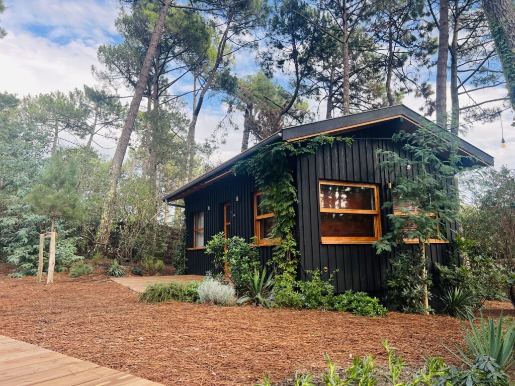 Thibault Pereira Construction Bois Au Cap Ferret IMG 0454
